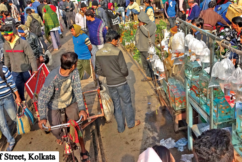 Galiff Street, Kolkata
