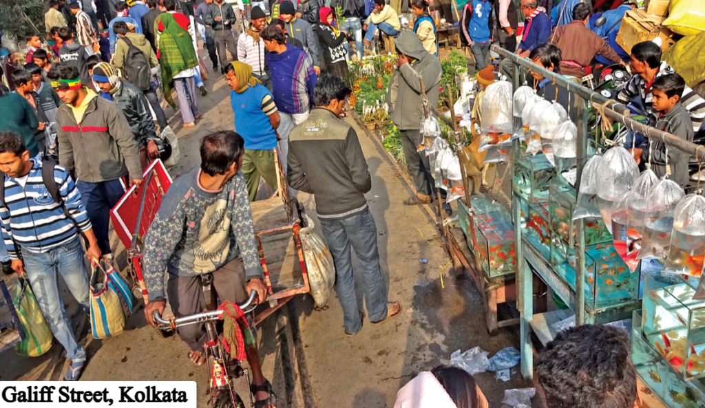 Galiff Street, Kolkata